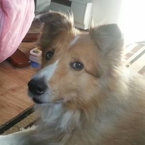 Meet your Posher, Joanne